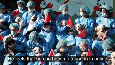 13 Panda Cubs Make Group Debut