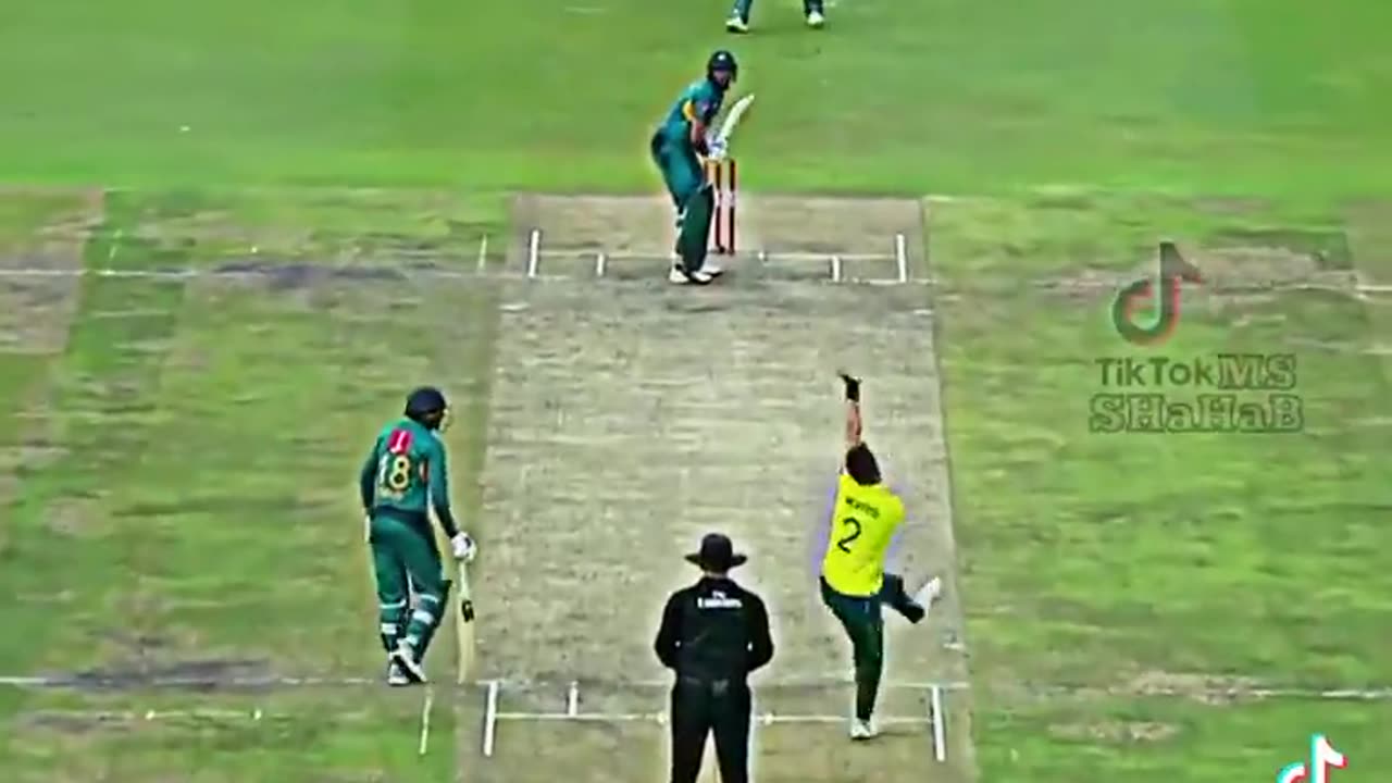 Pak vs sa match clip