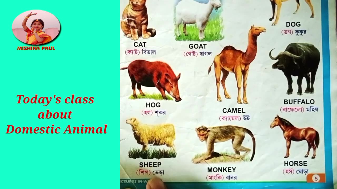 __How to teach Domestic Animals to Kids __ Domestic Animals for LKG__ Domestic Animals in English__