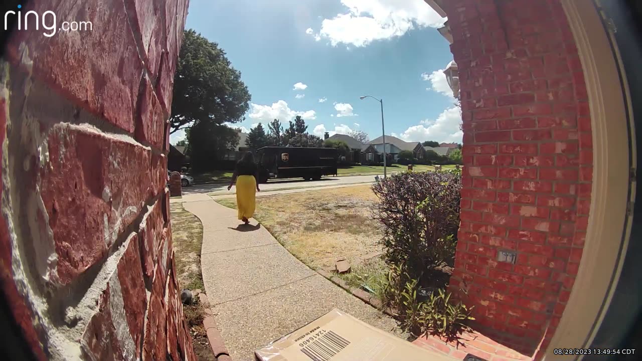 Tiny Dog Chases UPS Delivery Man