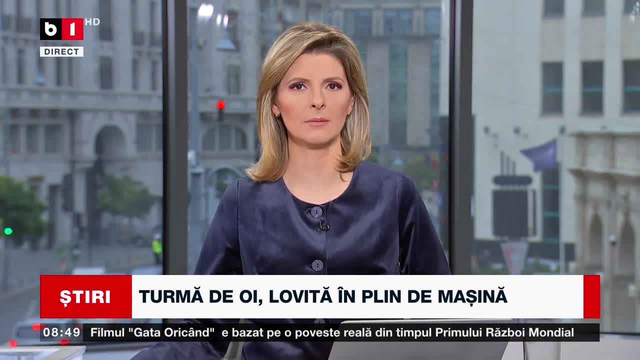 PRAHOVA -TURMĂ DE OI, LOVITĂ ÎN PLIN DE MAȘINĂ_Știri B1_16 nov 2022