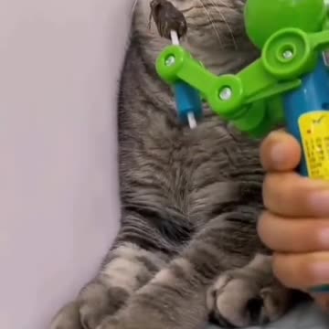 "Purrfect Playtime: The Toy Trickery That Leaves Your Cat Hungry for More!"