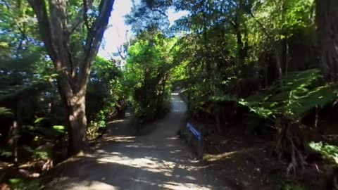 Bay of Plenty, New Zealand in 360