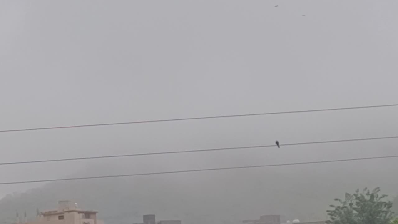 Live from udaipur rajasthan india