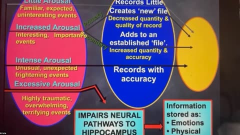 Trauma Response & Amnesia