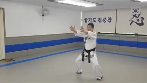 Hapkido