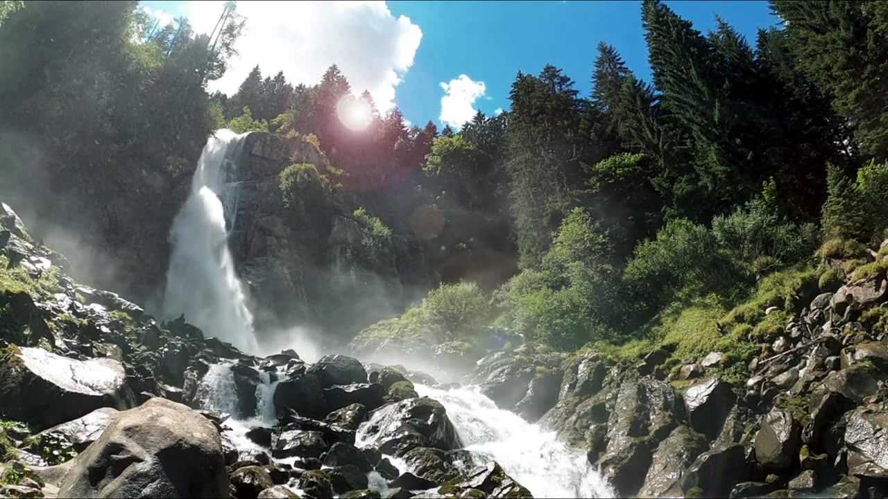 Nature video Nature Forest and Road and Hills around