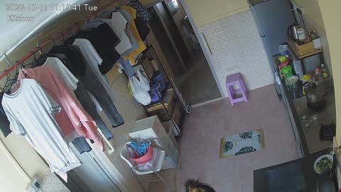 kitchen day n night 20221011