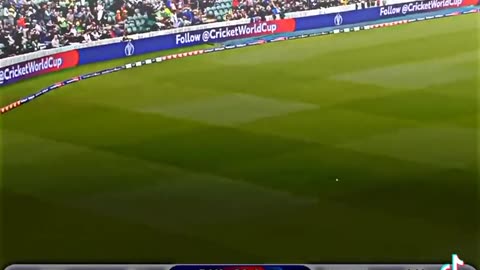 Cricket expert