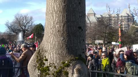 World Wide Rally for Freedom, 22 Jan 2022, Victoria BC