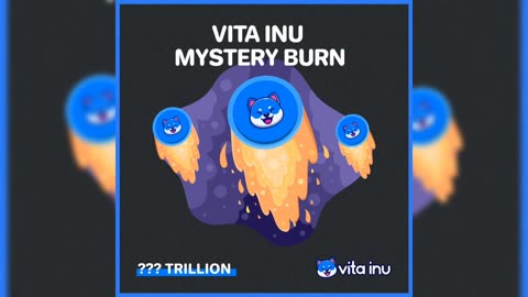 Vita Inu coin