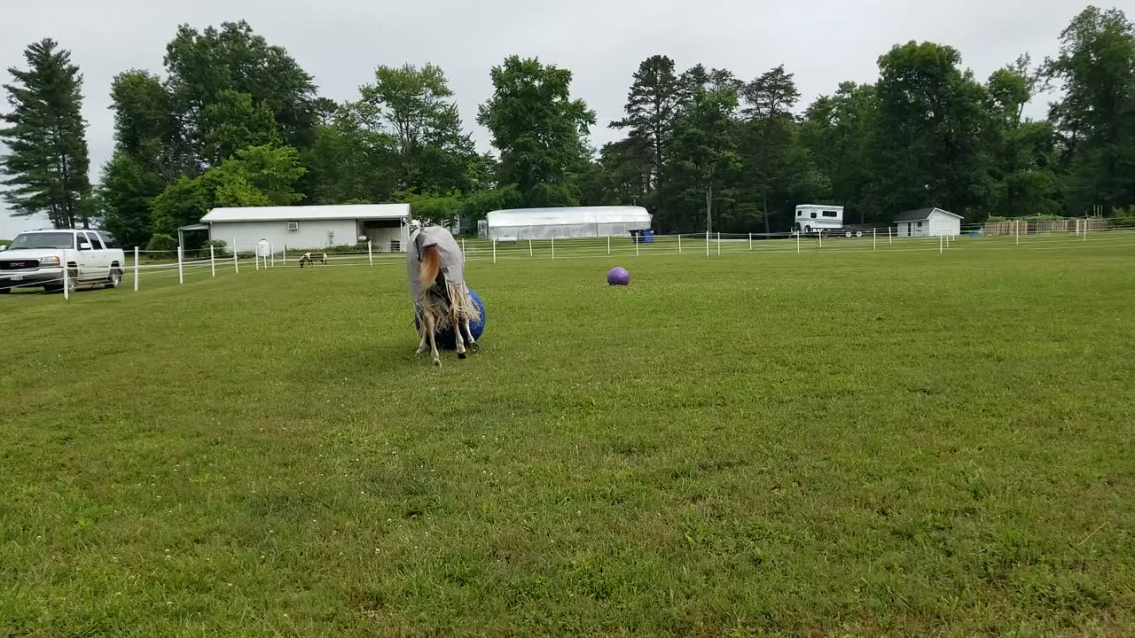 Blu ball again