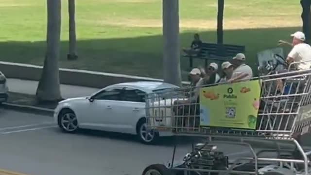 Large shopping cart