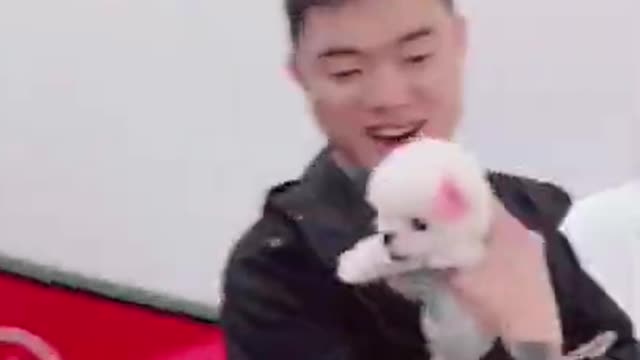 Cute Dog Video