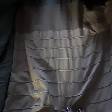 Loki and Fenrir 4/29/2022