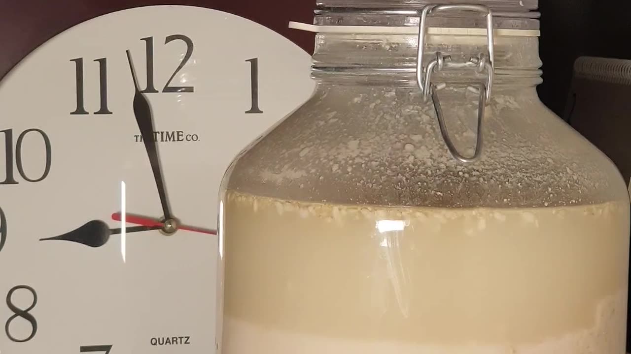 Makgeolli yeast fermentation 10 days 180 times faster. 막걸리 누룩 발효 10일 180배속