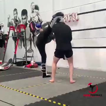 Kickboxing Techniques