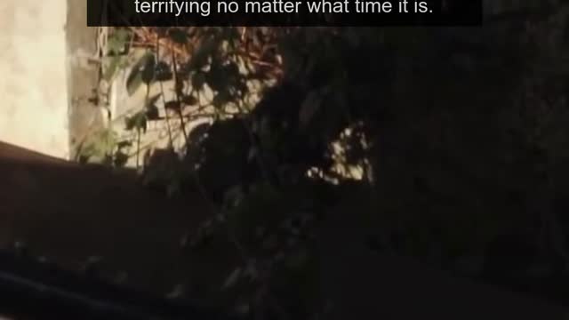 What is normal at 3PM but terrifying at 3AM?