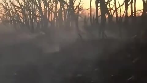 Ukrainian Bradley's Main Gun Firing on Russian Lines