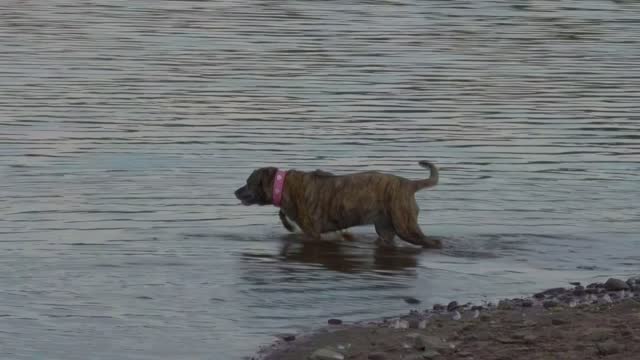 Gemini at Goyt Valley, Derbyshire, United Kingdom