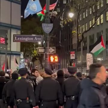 Foreign agents rip down American Flags On Veteran's Day - Leave UN & Palestinian Flags Up