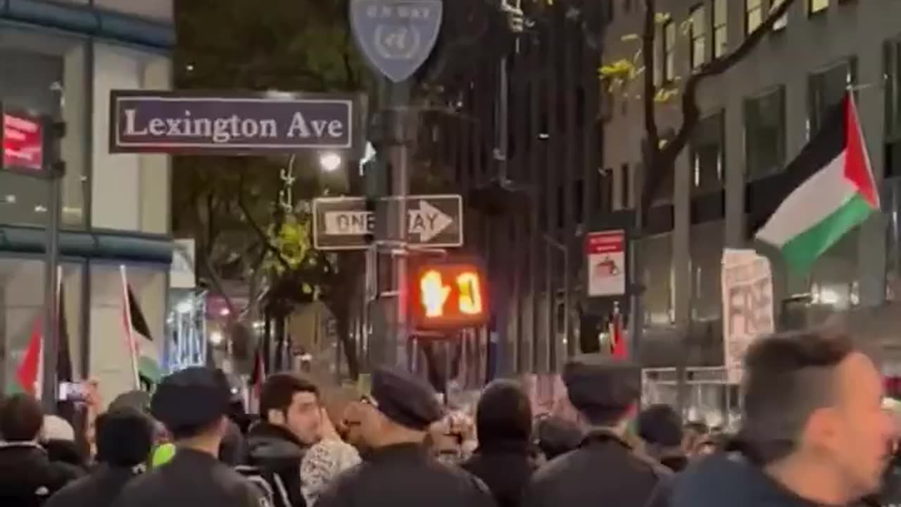 Foreign agents rip down American Flags On Veteran's Day - Leave UN & Palestinian Flags Up