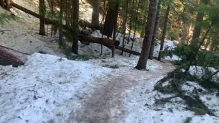 Descending the River Forest Trail – Tamanawas Falls – Mount Hood – Oregon – 4K