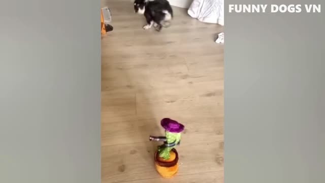 Best Funny Animal Videos Of The 2022 π€£ - Funniest Cats And Dogs Videos πΊπ