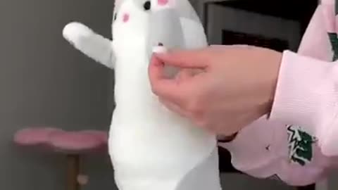 How to trick a cat