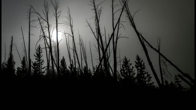 "Yellowstone National Park"