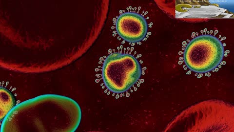 Study Shows Natural Immunity To COVID Is Superior To Vaccination