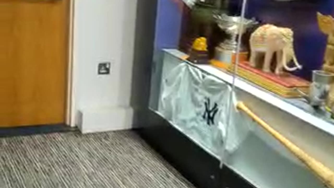 Chelsea trophy museum