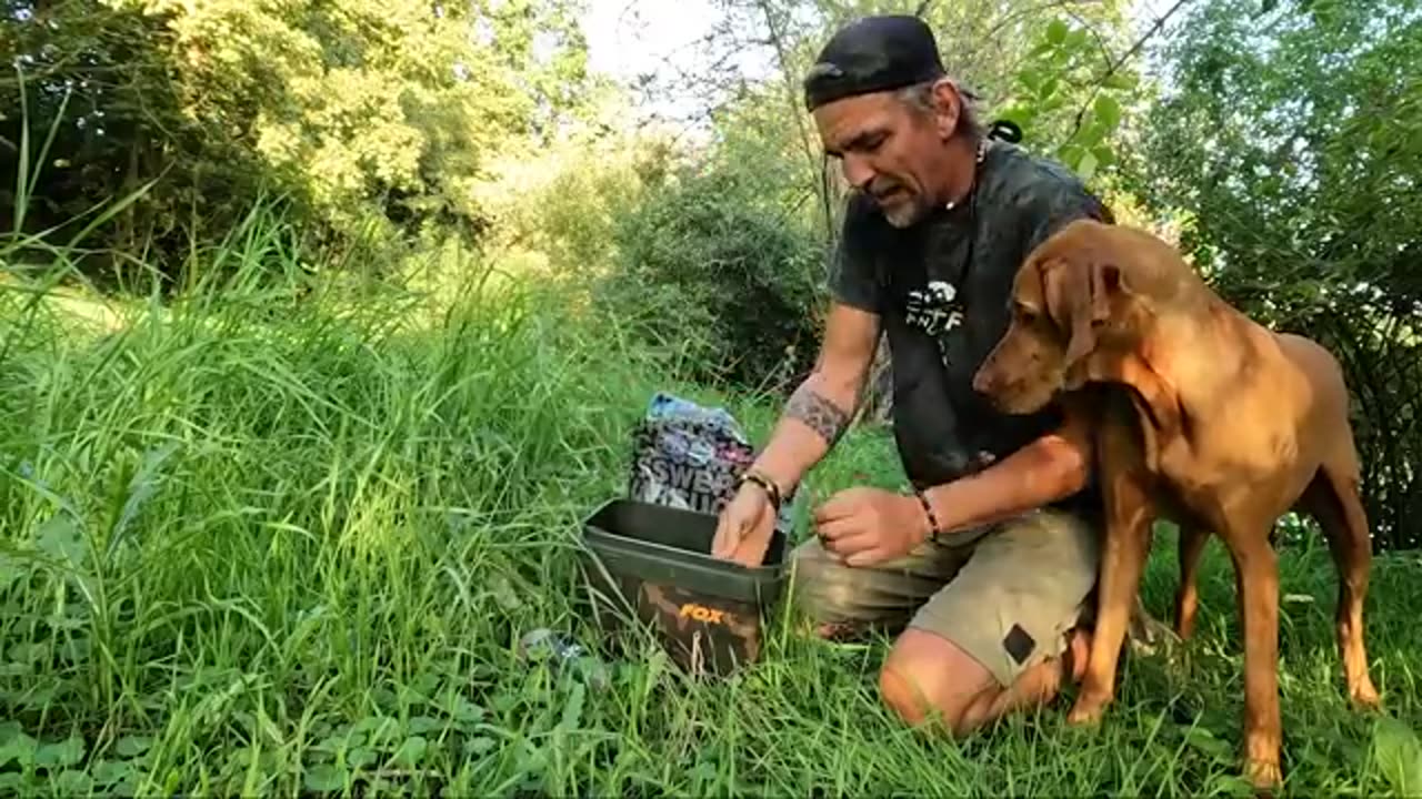 FLUSS KARPFEN | Auf der JAGD nach wilden Fischen | Mein Hausfluss der Neckar