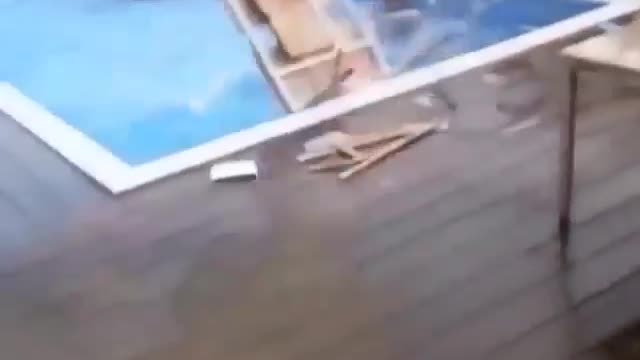Diving board