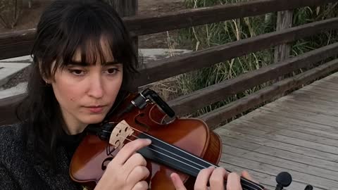 Cellist Joined By a Duck