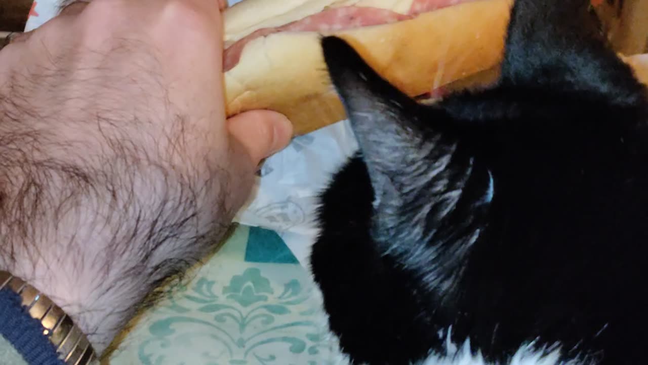Meal, Jimmy Johns, Plymouth Rd, Livonia, MI, 12/10/23