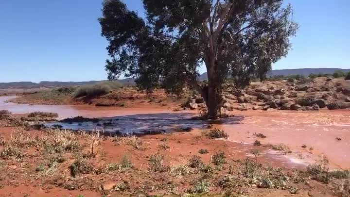 A creek flowing between Quorn and Hawker on the Flinders Ranges Way