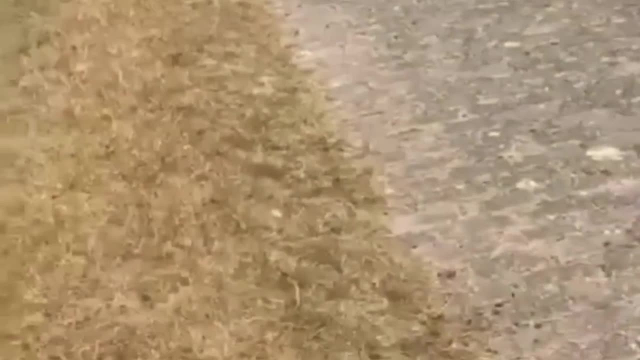 Funniest fails