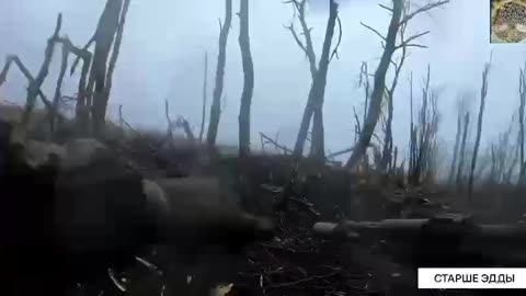 Real Combat In Ukraine