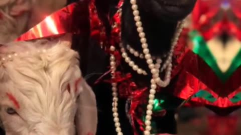 Jay maa kali