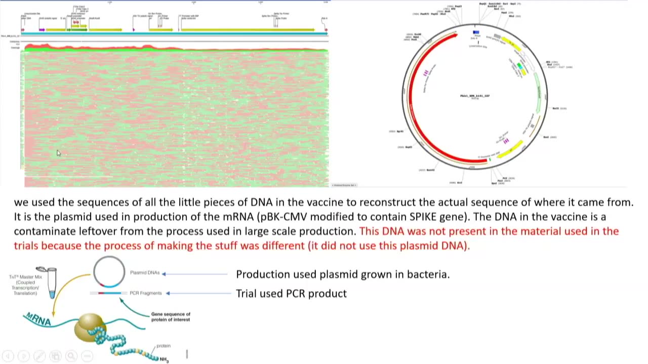 Cancer Genomics Expert Testifies to the Senate on the DNA Contamination Found in mRNA COVID Vaccines