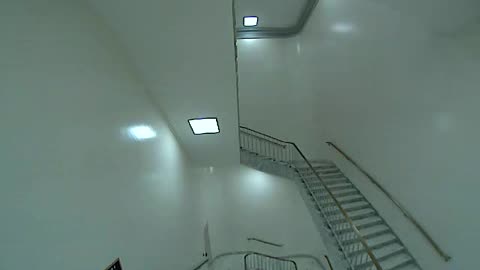 3157RHOB03Stair4_2021-01-06_11h40min02s053ms.mp4