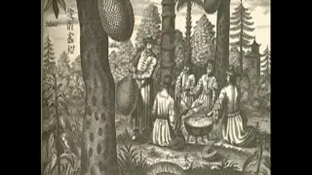 Bitchute Exclusive Video 66b Jack Fruit Genetics Over Time