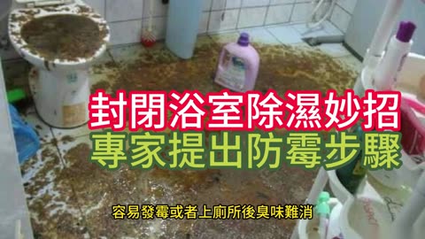封閉浴室除濕妙招 專家提出防霉步驟