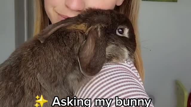 My bunny is a genius