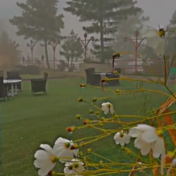 can't explain the perfection of the video and beautiful scene..🔥♥️✨