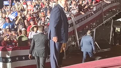 The Donald
