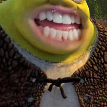 Uh, Shrek?....