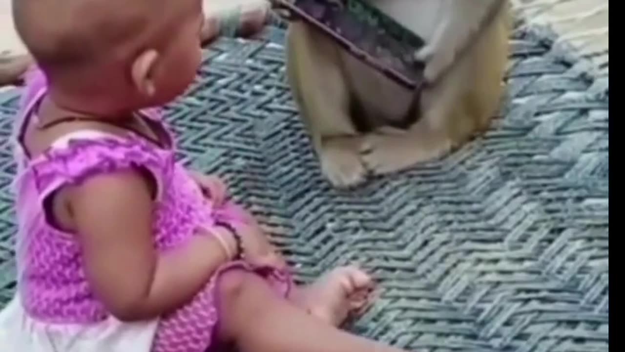 Monkey and baby funny short video