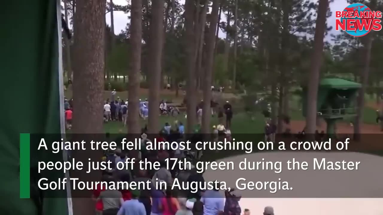 Terrifying moment when tree fall nearly crushes crowd at Masters Tournament in Augusta, Georgia